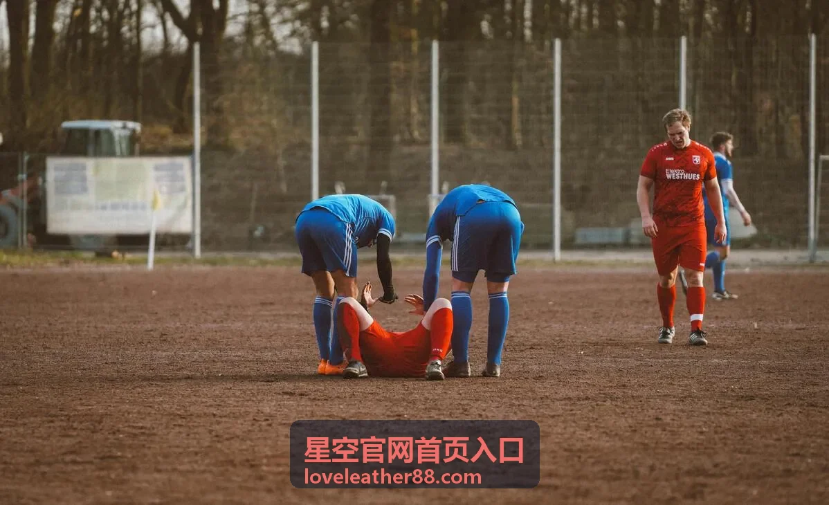 星空官网首页入口更新记录的批次编号与栏目对照排版