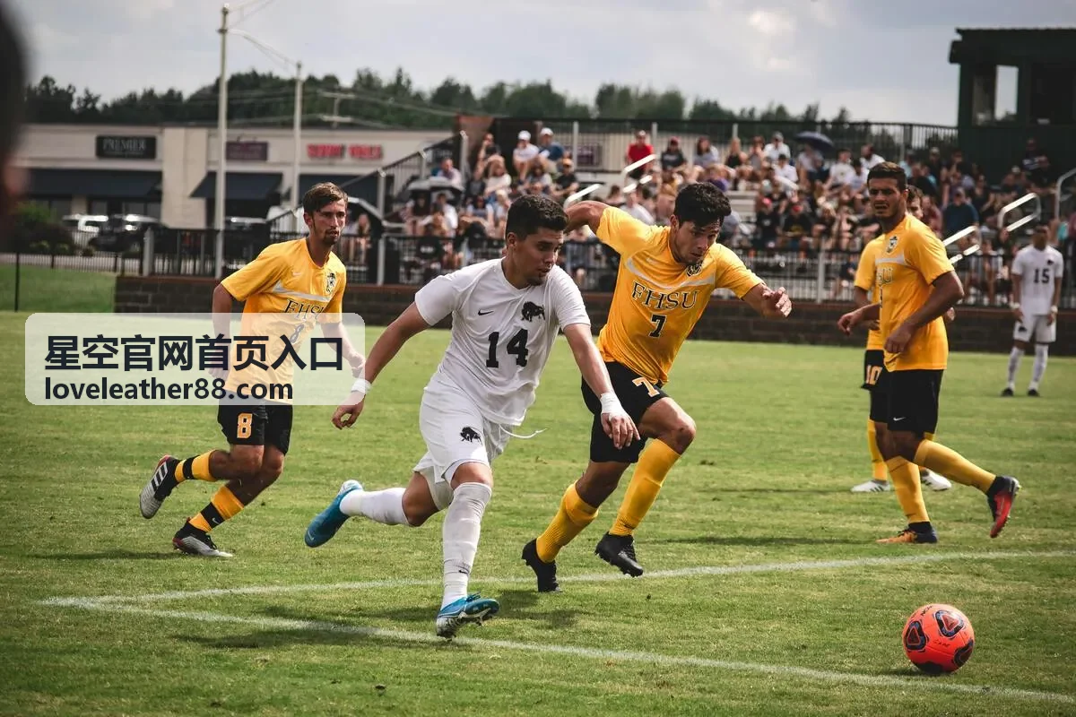 星空官网首页入口的公告与更新分类封面